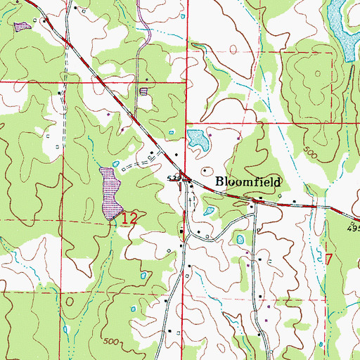 Topographic Map of Bloomfield, MS