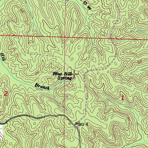 Topographic Map of Blue Bill Spring, MS