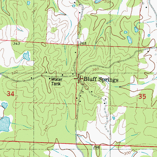Topographic Map of Bluff Springs School, MS