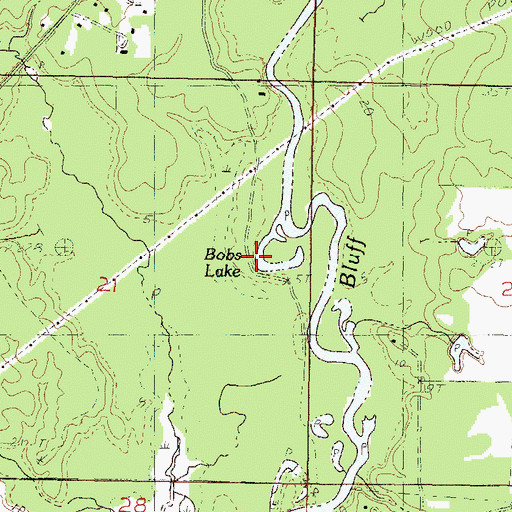 Topographic Map of Bobs Lake, MS