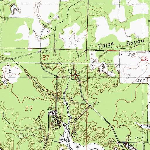 Topographic Map of Boggy Branch, MS