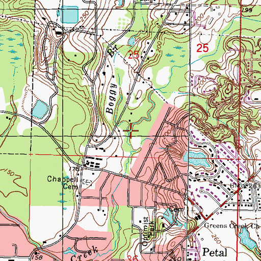 Topographic Map of Boggy Branch, MS