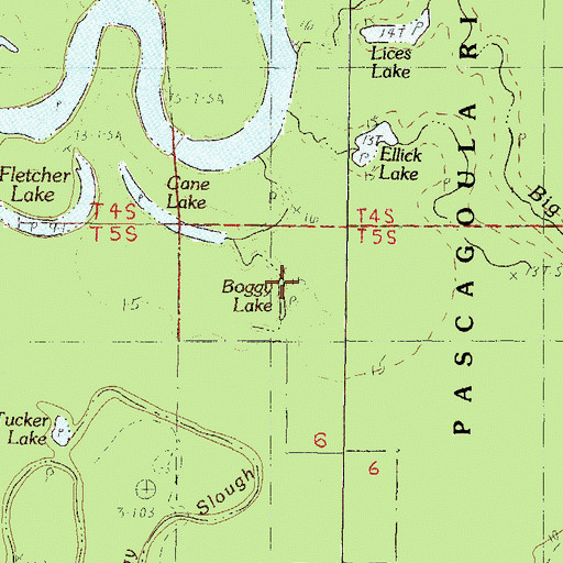 Topographic Map of Boggy Lake, MS