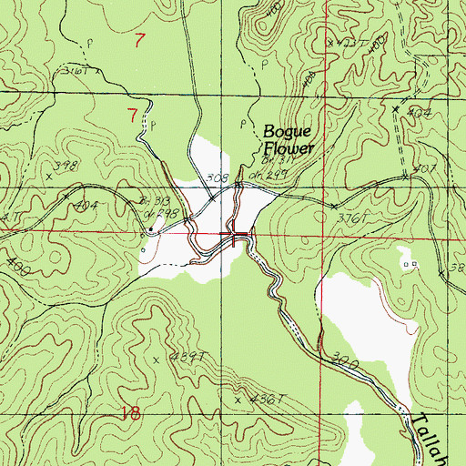 Topographic Map of Bogue Flower, MS