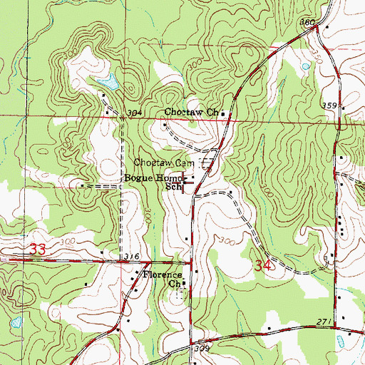 Topographic Map of Bogue Homo School, MS