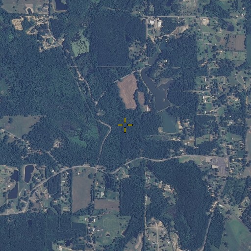 Aerial/Satellite Image of Boler Branch, MS