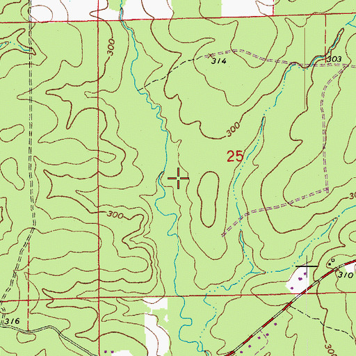 Topographic Map of Township of Spring, AR