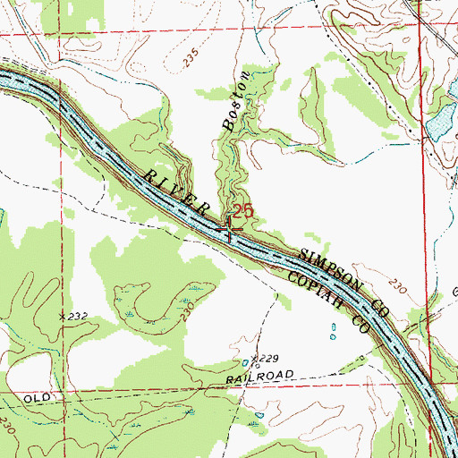 Topographic Map of Boston Branch, MS