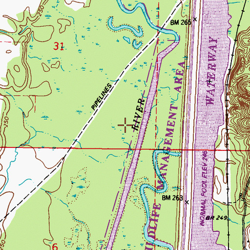 Topographic Map of Bourland Creek, MS
