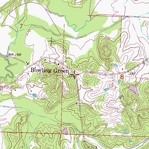 Topographic Map of Bowling Green, MS