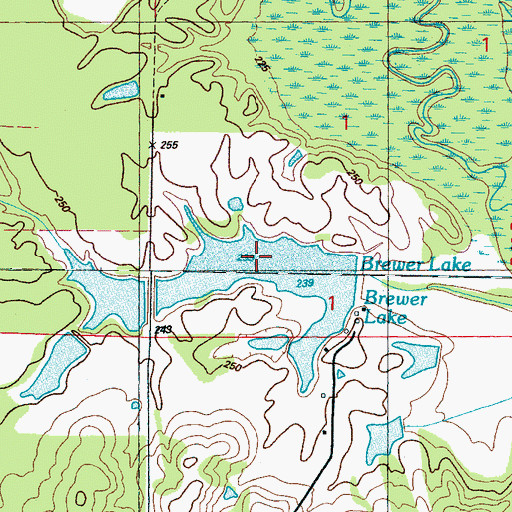Topographic Map of Brewer Lake, MS