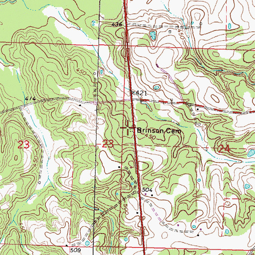 Topographic Map of Brinson Cemetery, MS