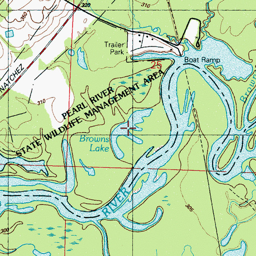 Topographic Map of Browns Lake, MS