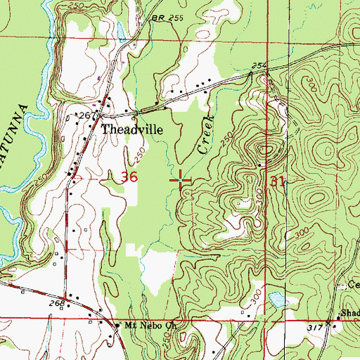 Topographic Map of Brush Creek, MS