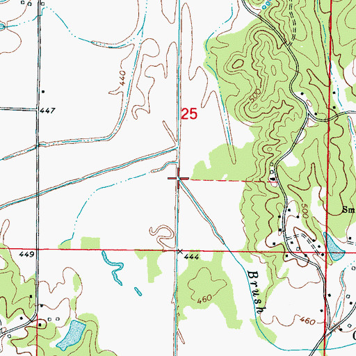 Topographic Map of Brush Creek, MS
