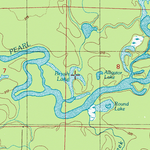Topographic Map of Brush Lake, MS