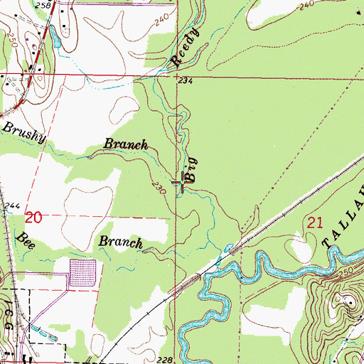 Topographic Map of Brushy Branch, MS
