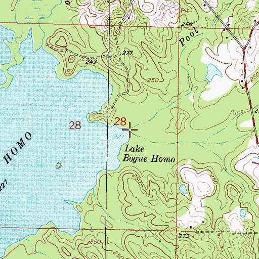 Topographic Map of Brushy Creek, MS