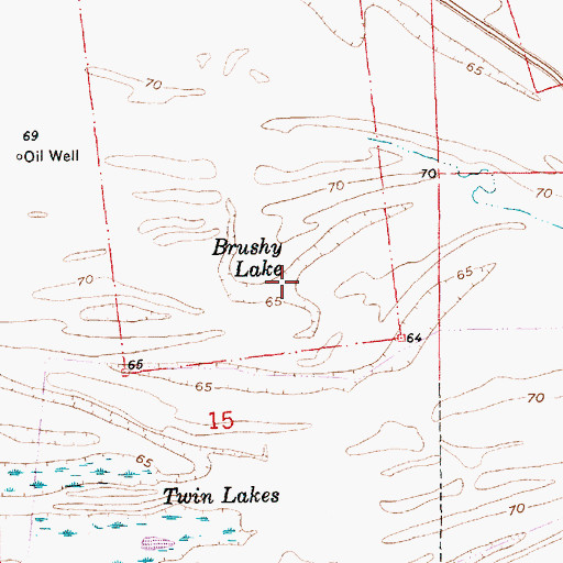 Topographic Map of Brushy Lake, MS
