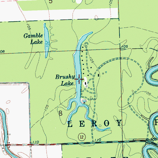 Topographic Map of Brushy Lake, MS