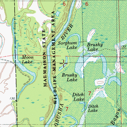Topographic Map of Brushy Lake, MS