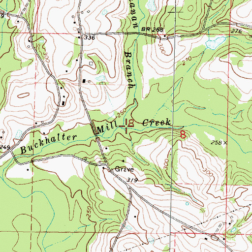 Topographic Map of Buchanan Branch, MS