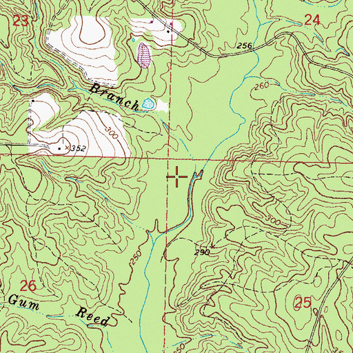 Topographic Map of Buck Branch, MS