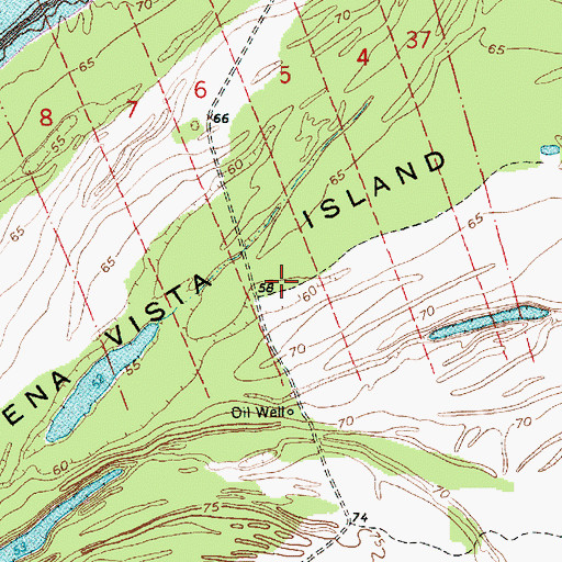 Topographic Map of Buena Vista Island, MS