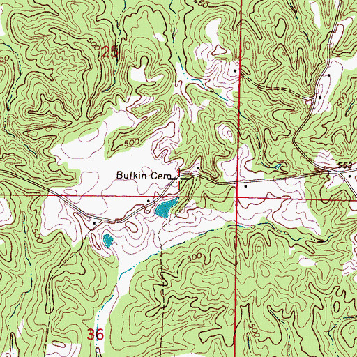 Topographic Map of Bufkin Cemetery, MS