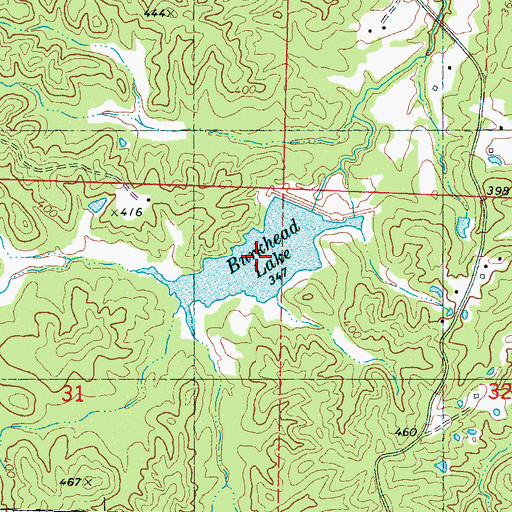 Topographic Map of Burkhead Lake, MS