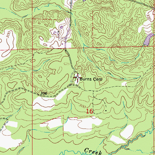 Topographic Map of Burns Cemetery, MS