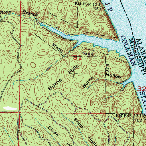Topographic Map of Burns Hills, MS