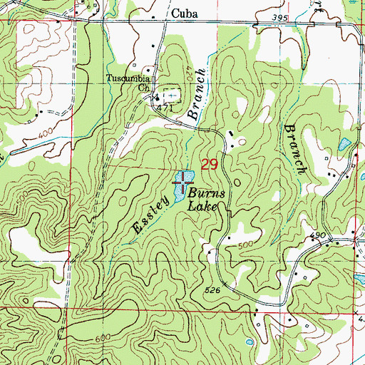 Topographic Map of Burns Lake, MS