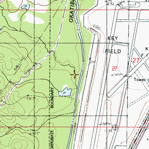 Topographic Map of Burwell Creek, MS