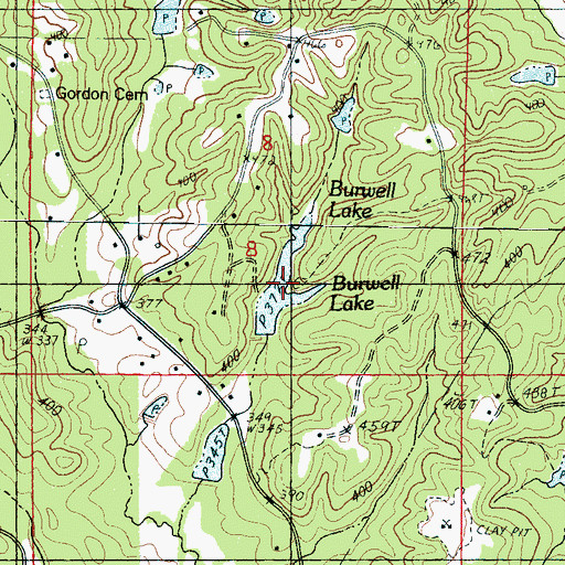 Topographic Map of Burwell Lake, MS
