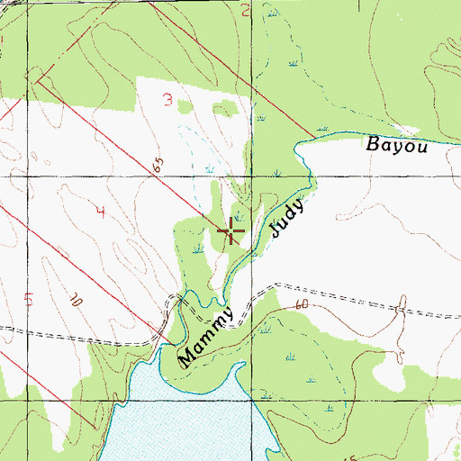 Topographic Map of Bush Lake, MS