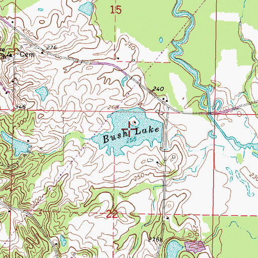 Topographic Map of Bush Lake, MS