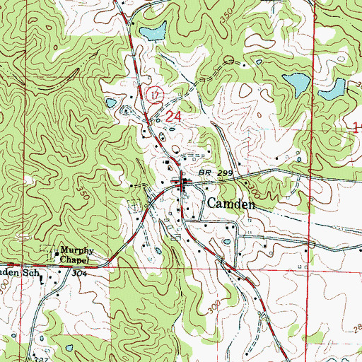 Topographic Map of Camden, MS
