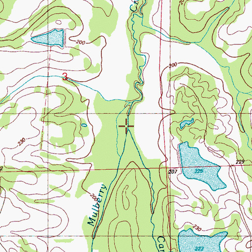 Topographic Map of Cameron Branch, MS