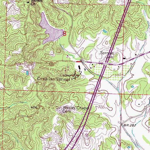 Topographic Map of Camp Castalian Springs, MS
