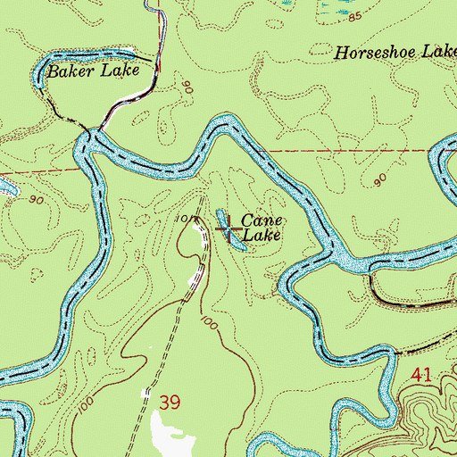Topographic Map of Cane Lake, MS