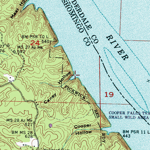 Topographic Map of Caney Hollow, MS