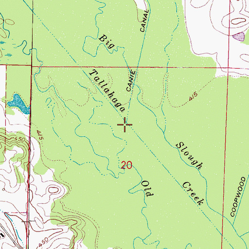 Topographic Map of Canie Creek, MS