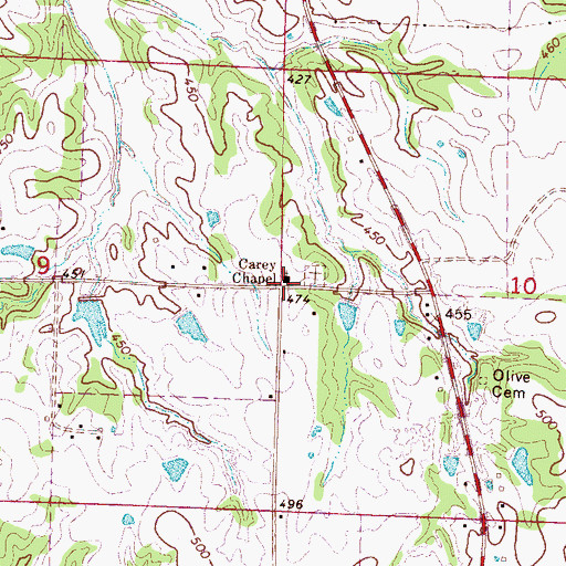 Topographic Map of Carey Chapel, MS