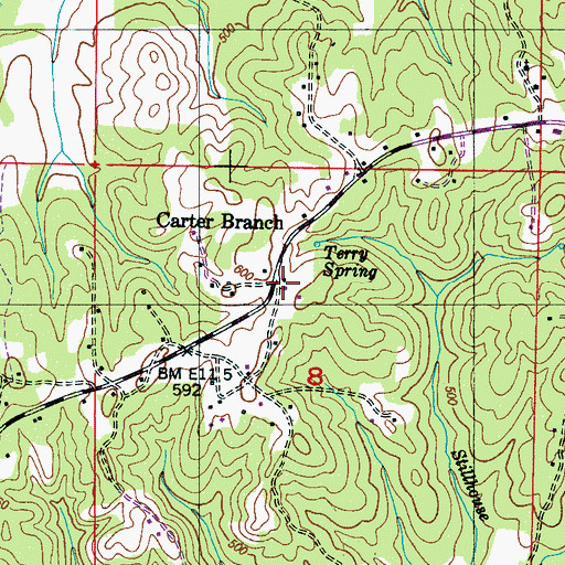 Topographic Map of Carter Branch, MS