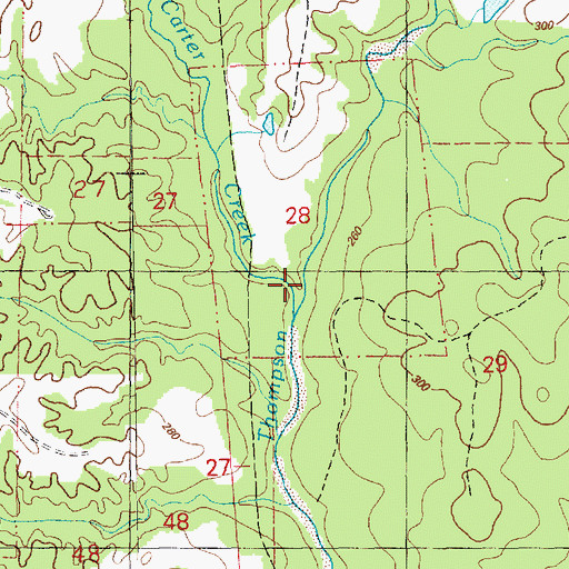 Topographic Map of Carter Creek, MS