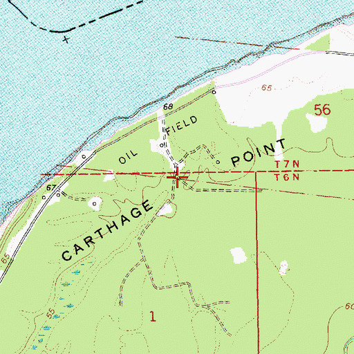 Topographic Map of Carthage Point, MS