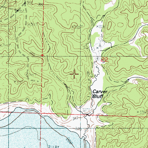 Topographic Map of Carver Bluff, MS