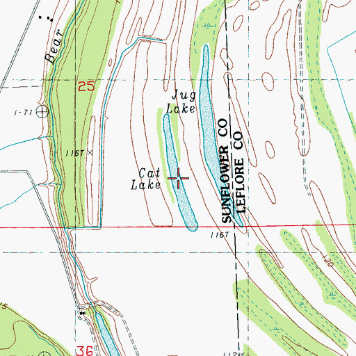 Topographic Map of Cat Lake, MS