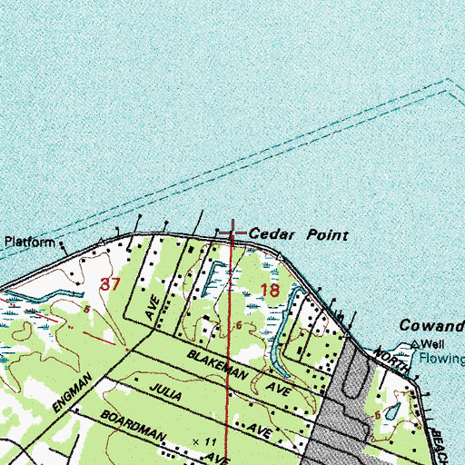 Topographic Map of Cedar Point, MS